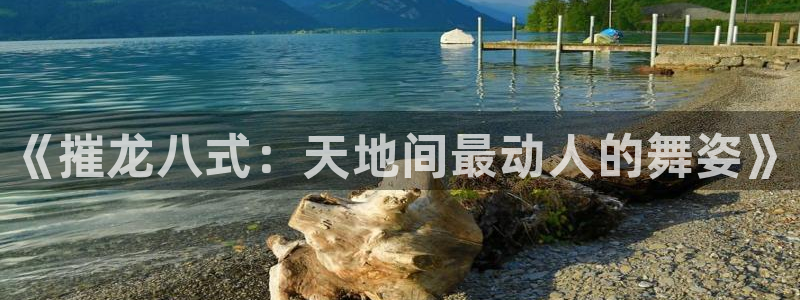 乐天堂fun4登录：《摧龙八式：天地间最动人的舞姿》