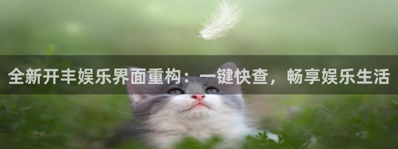 乐天堂fun平台开户链接：全新开丰娱乐界面重构：一键快查，畅享娱乐生活