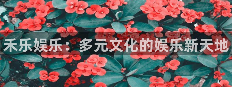 乐天堂fun电子有限公司：禾乐娱乐：多元文化的娱乐新天地
