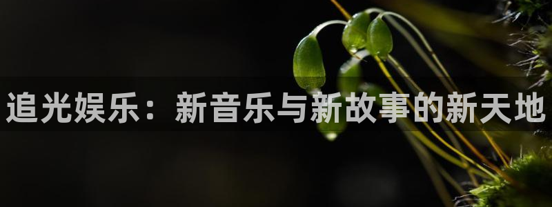 乐天堂fun股份：追光娱乐：新音乐与新故事的新天地