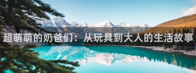 乐天堂fun平台在线注册：超萌萌的奶爸们：从玩具到大人的生活故事