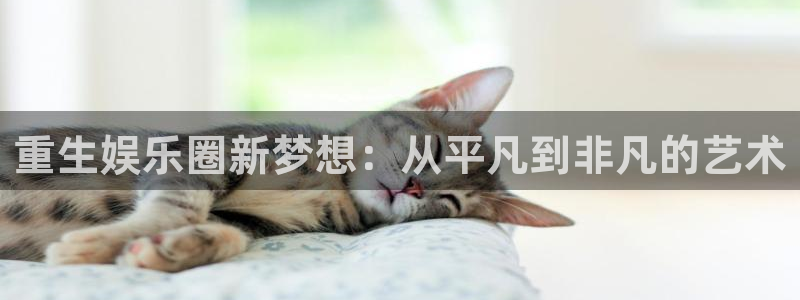 乐天堂fun注册：重生娱乐圈新梦想：从平凡到非凡的艺术