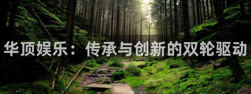 乐天堂fun平台注册入口：华顶娱乐：传承与创新的双轮驱动