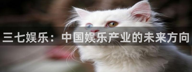 乐天堂fun体育eon：三七娱乐：中国娱乐产业的未来方向