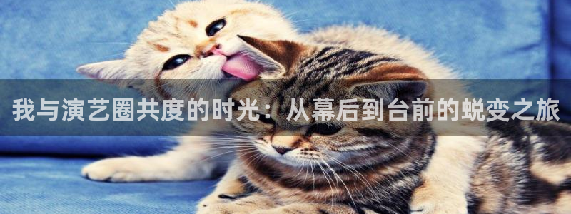 乐天堂fun登录：我与演艺圈共度的时光：从幕后到台前的蜕变之旅