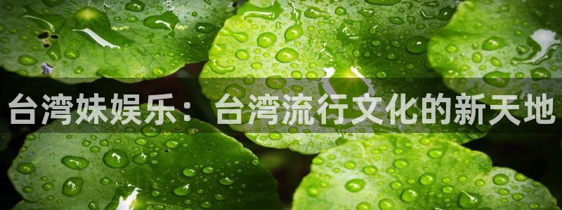 佛山市南海乐天堂fun机电仪器有限公司：台湾妹娱乐：台湾流行文化的新天地